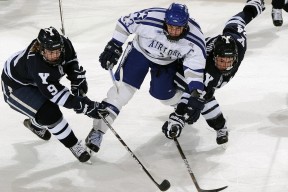 墨西哥马术协会与美洲马术协会合作，举办国际马术交流活动，促进文化互鉴。